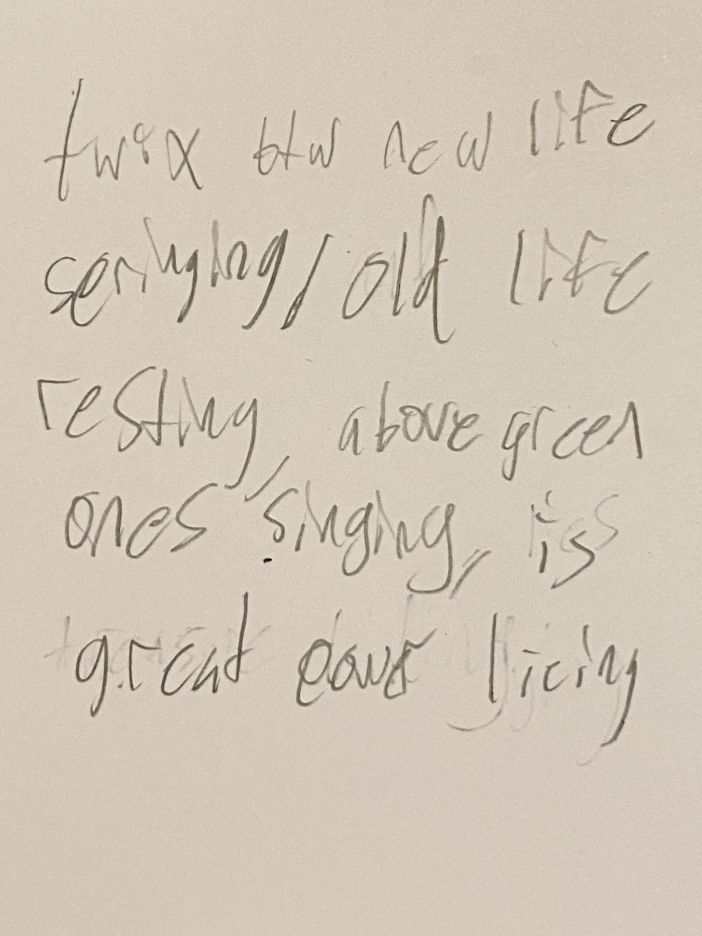 A note, probably saying: twix [old] new life [seeing] old life resting, above green ones singing is great cave [lying]